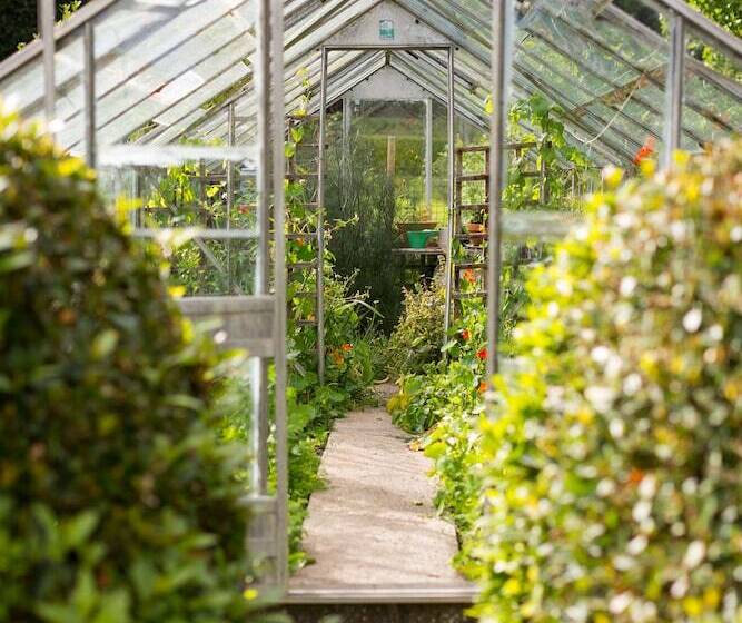 בית מלון כפרי The Mustard Seed At Echo Lodge