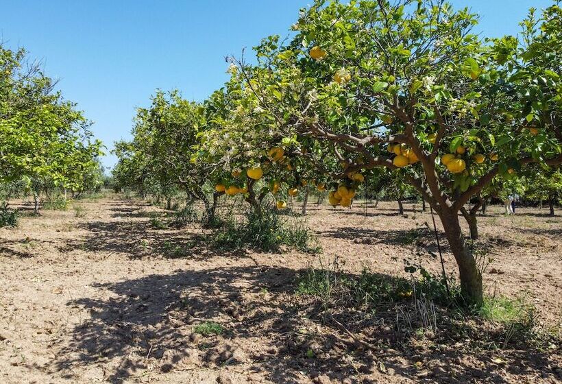 בית מלון כפרי Torre Tabia