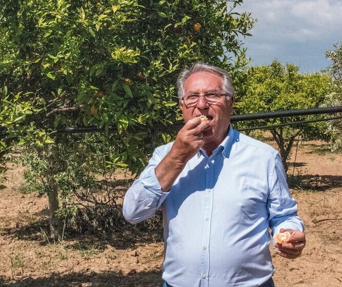 בית מלון כפרי Torre Tabia