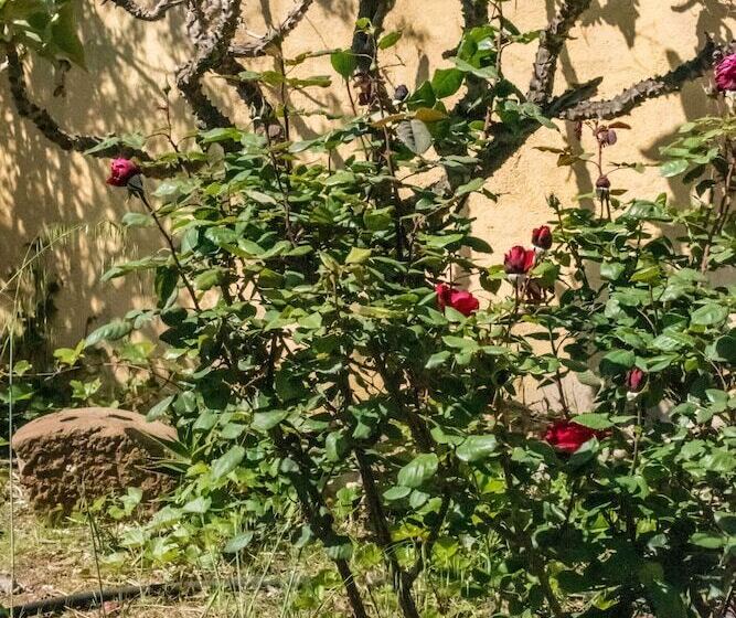 בית מלון כפרי Torre Tabia