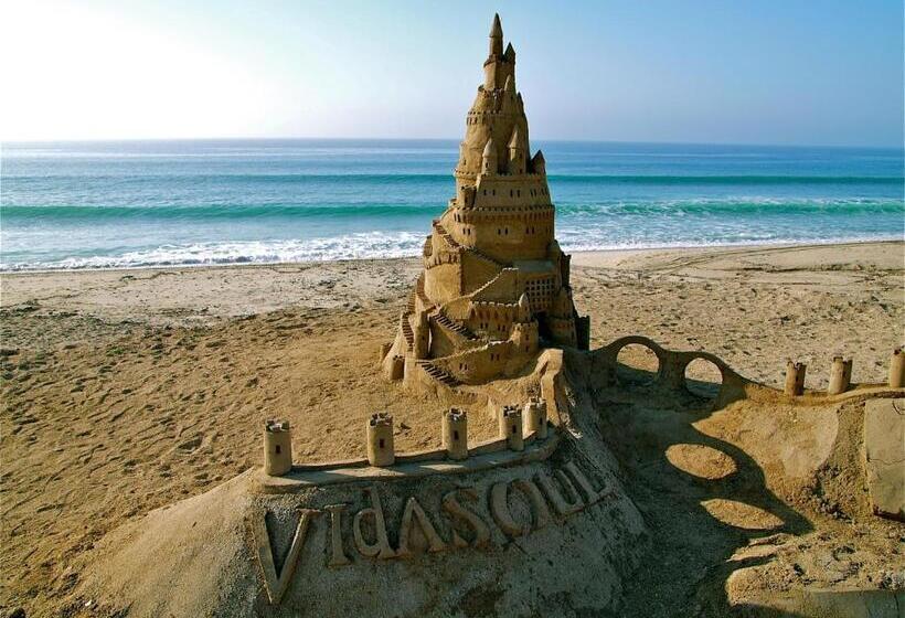 Отель Vidasoul