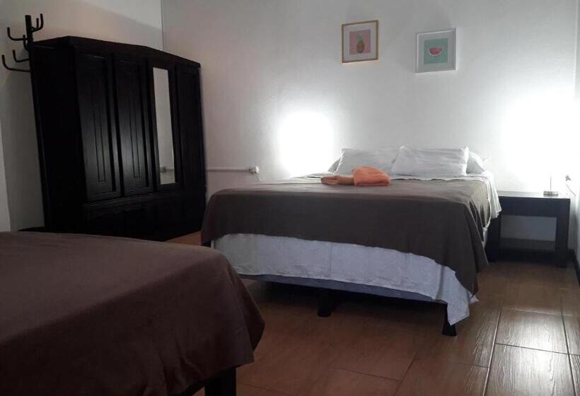 Aracari Garden Hostel