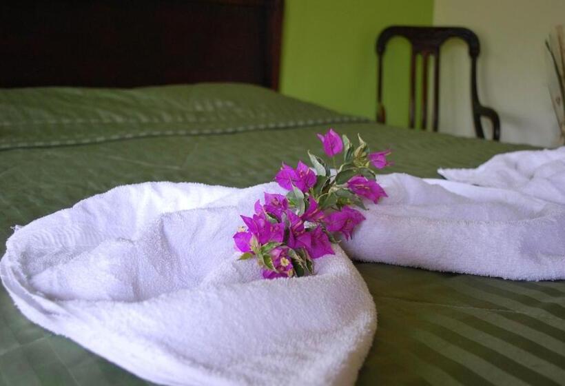 تختخواب و صبحانه Dos Palmas Studio Apartments