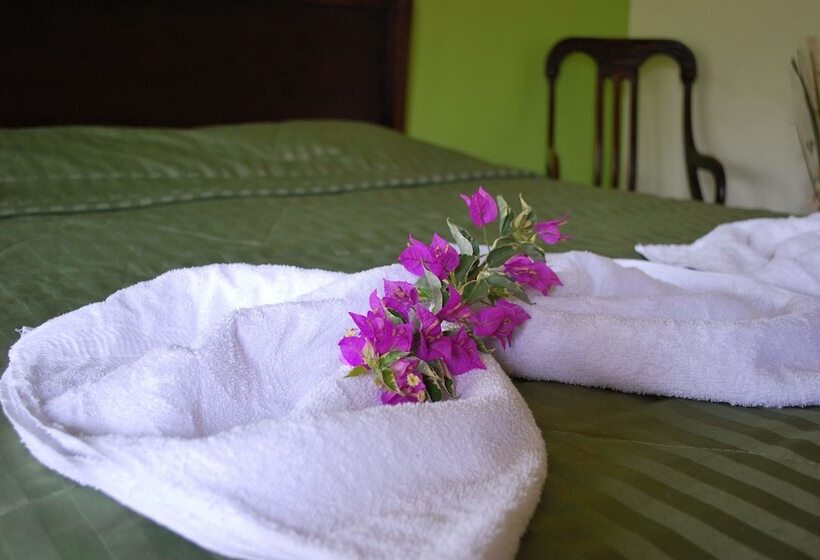 تختخواب و صبحانه Dos Palmas Studio Apartments