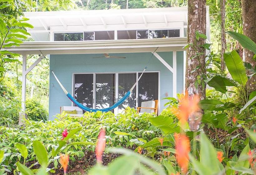 민박 Tree Of Life Cabinas