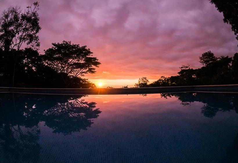 민박 Tree Of Life Cabinas