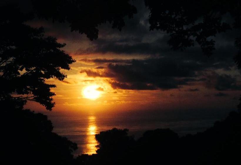 민박 Tree Of Life Cabinas