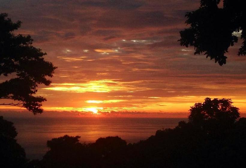 민박 Tree Of Life Cabinas