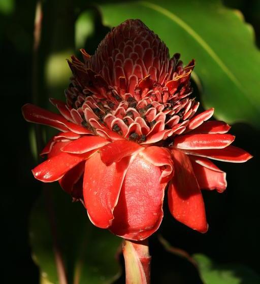 민박 Tree Of Life Cabinas