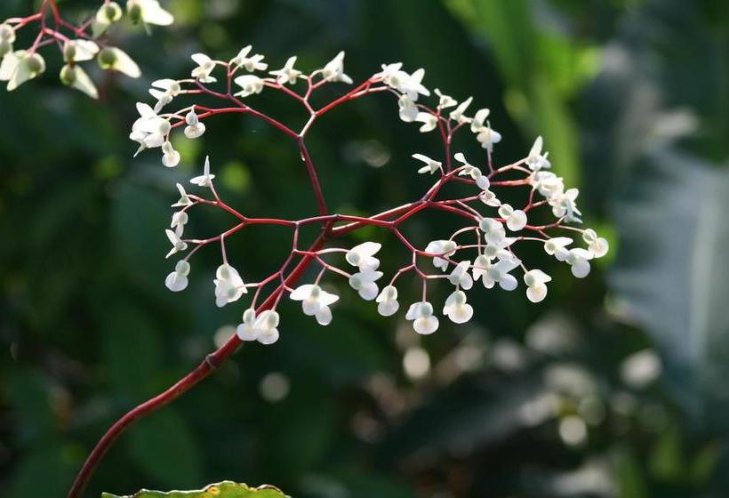 민박 Tree Of Life Cabinas