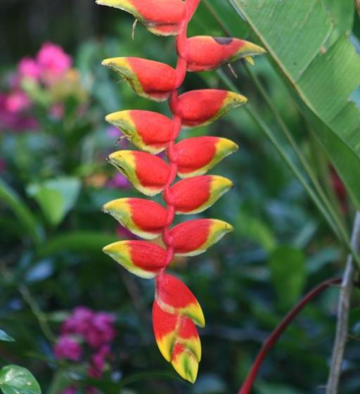 민박 Tree Of Life Cabinas