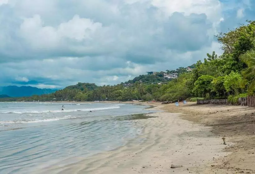 Casa Woodbine Private House On Tamarindo Beach