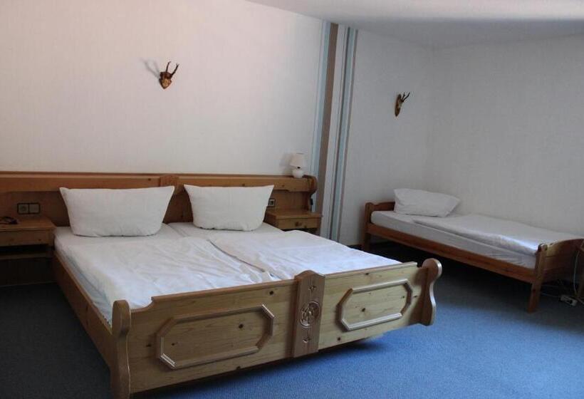 Отель Berggasthof Hoherodskopf