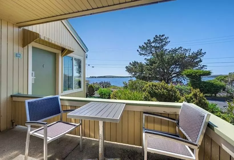ホテル Bodega Coast Inn And Suites