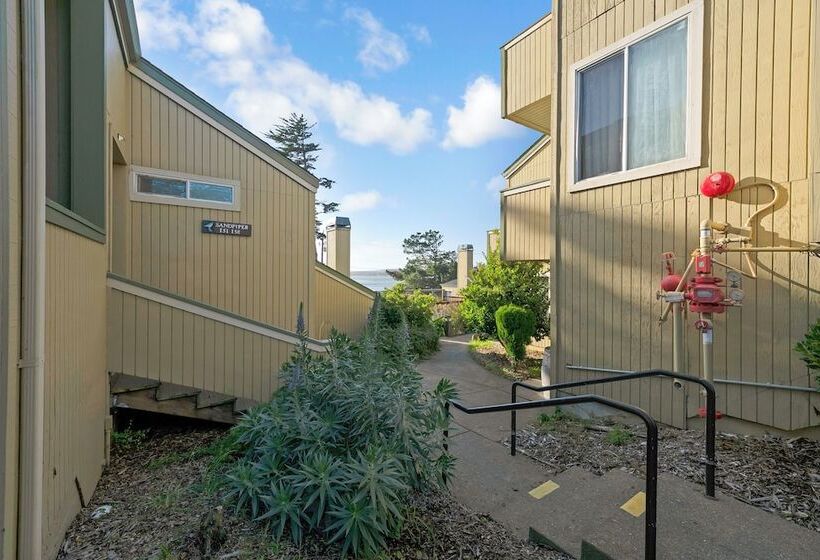 酒店 Bodega Coast Inn And Suites