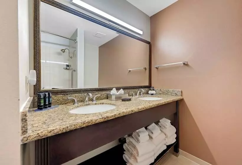 ホテル Bodega Coast Inn And Suites