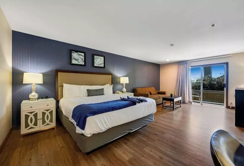ホテル Bodega Coast Inn And Suites