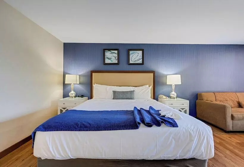 ホテル Bodega Coast Inn And Suites