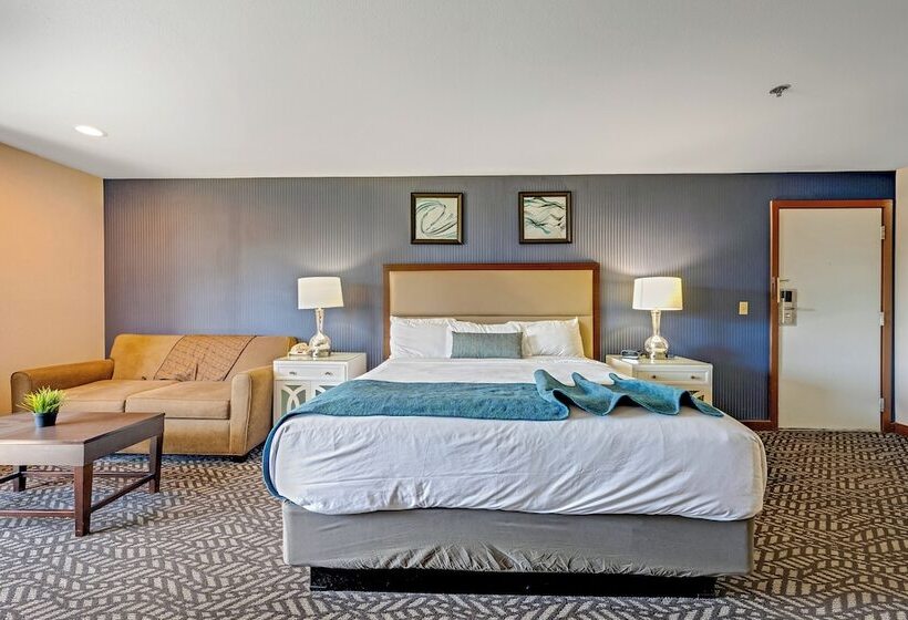 酒店 Bodega Coast Inn And Suites