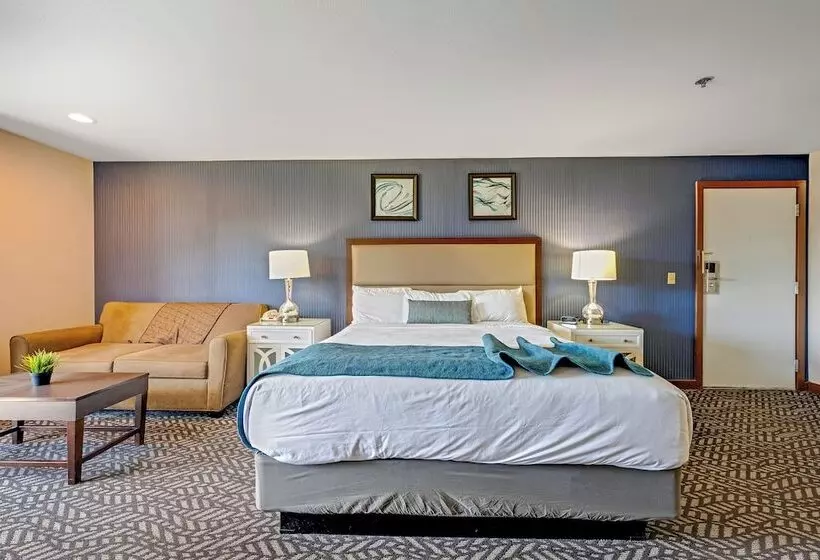 ホテル Bodega Coast Inn And Suites