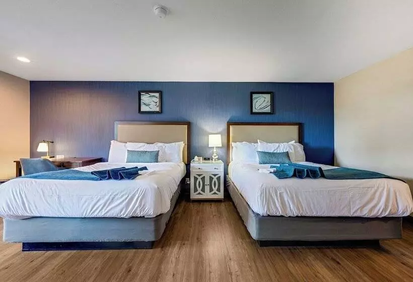 ホテル Bodega Coast Inn And Suites