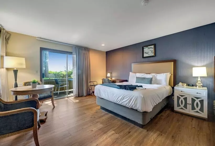 ホテル Bodega Coast Inn And Suites