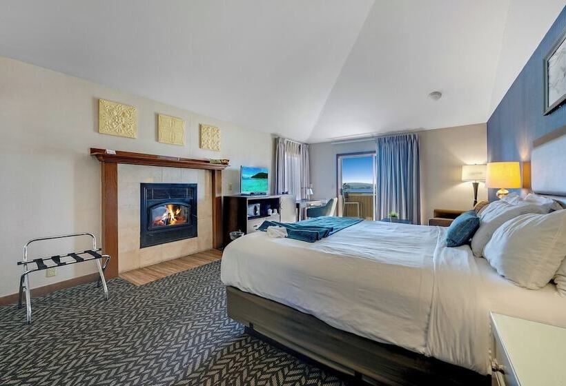 酒店 Bodega Coast Inn And Suites