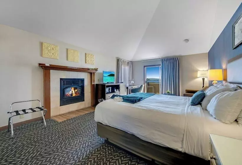 ホテル Bodega Coast Inn And Suites