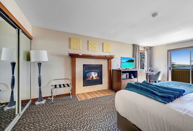 酒店 Bodega Coast Inn And Suites