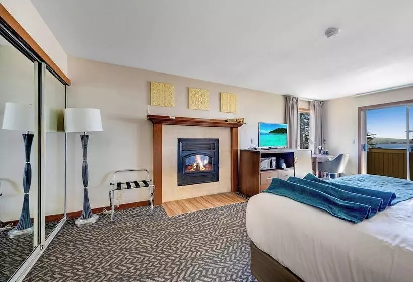 ホテル Bodega Coast Inn And Suites