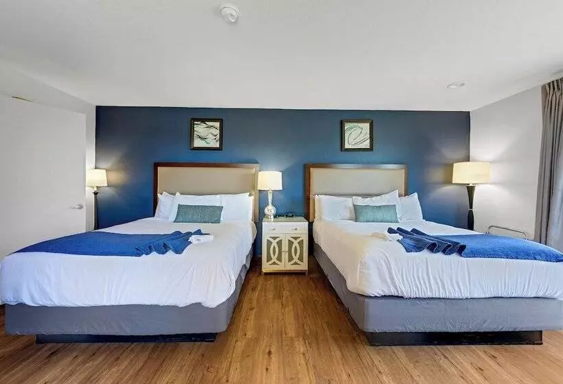 ホテル Bodega Coast Inn And Suites