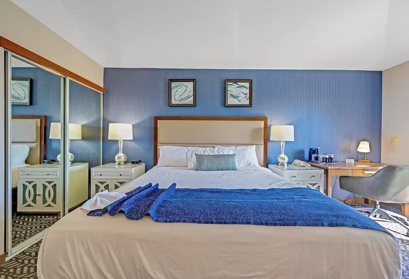 ホテル Bodega Coast Inn And Suites