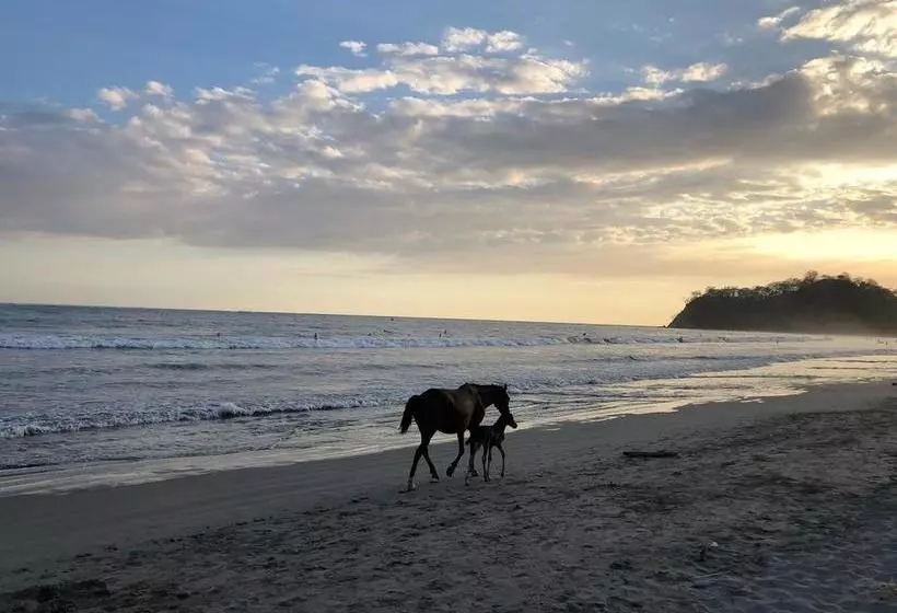 ホテル Macao Beach