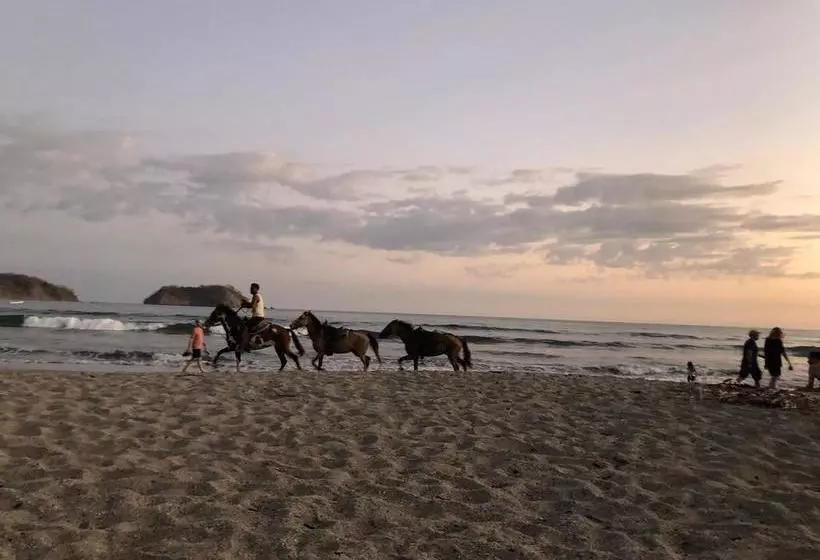 ホテル Macao Beach