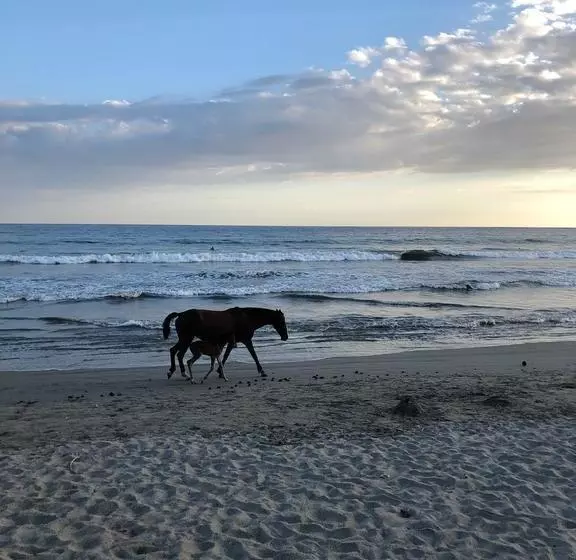 ホテル Macao Beach