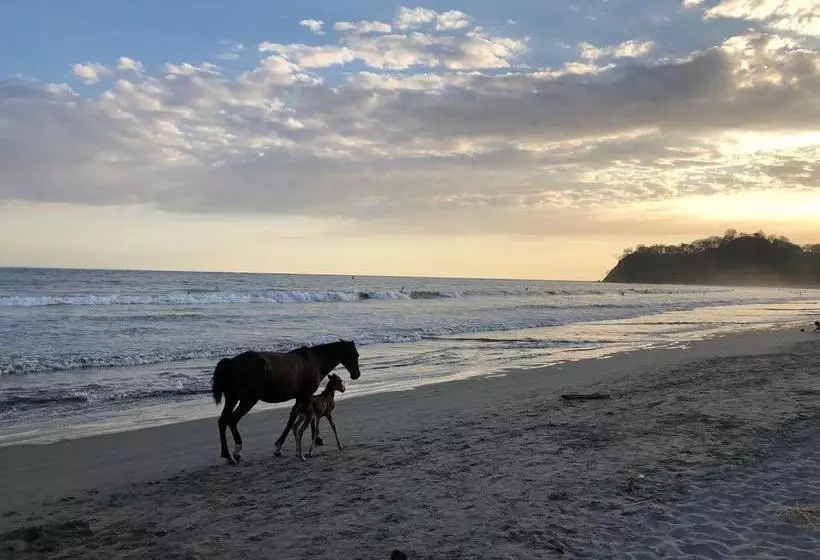ホテル Macao Beach