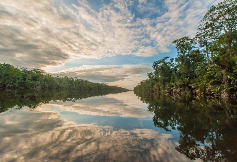 ホテル Cabinas Balcon Del Mar Tortuguero