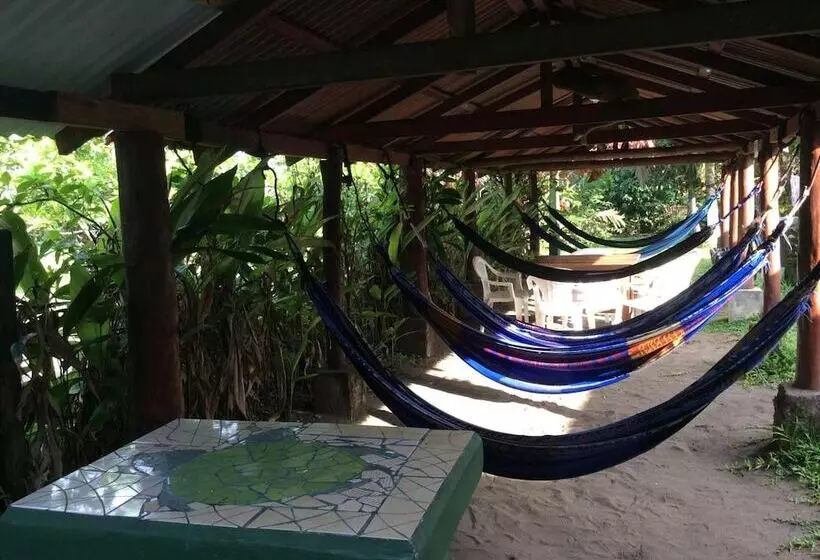 ホテル Cabinas Balcon Del Mar Tortuguero