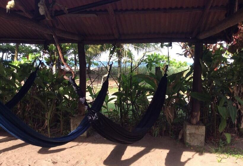 ホテル Cabinas Balcon Del Mar Tortuguero