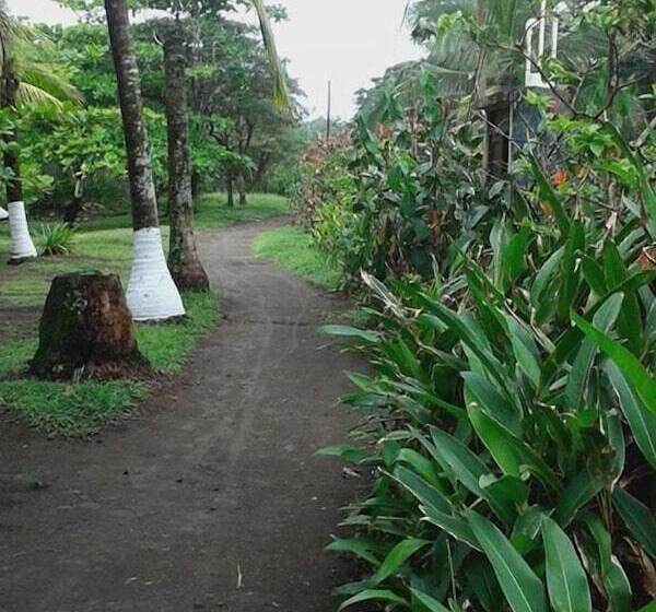 ホテル Cabinas Balcon Del Mar Tortuguero