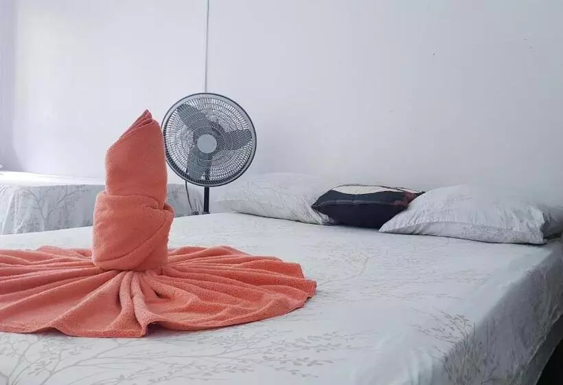 ホテル Cabinas Balcon Del Mar Tortuguero