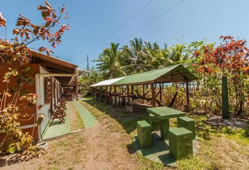 ホテル Cabinas Balcon Del Mar Tortuguero