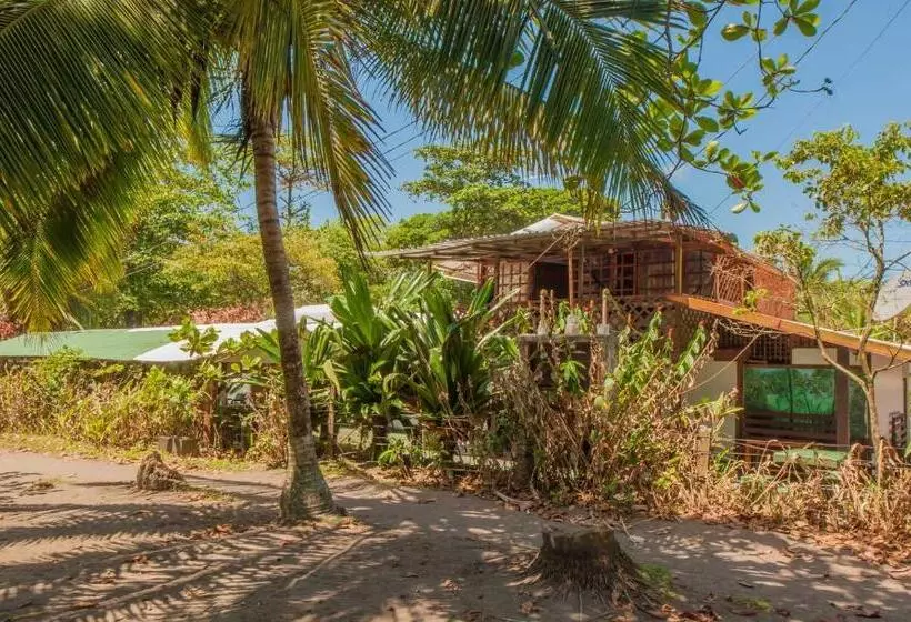 ホテル Cabinas Balcon Del Mar Tortuguero