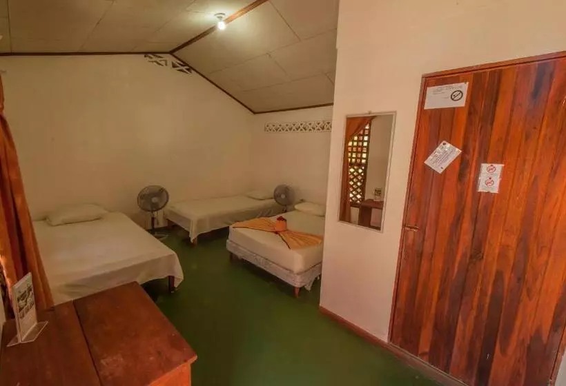 ホテル Cabinas Balcon Del Mar Tortuguero
