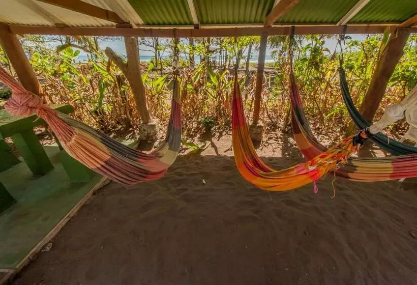 ホテル Cabinas Balcon Del Mar Tortuguero