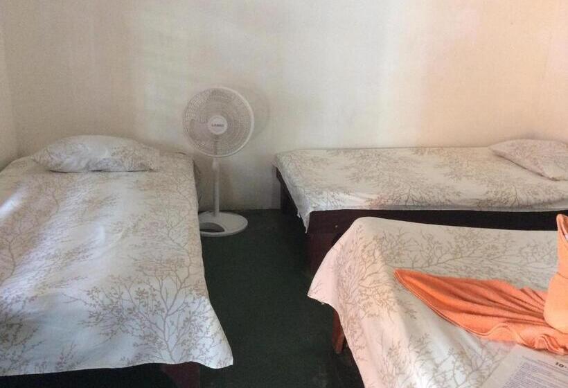 ホテル Cabinas Balcon Del Mar Tortuguero