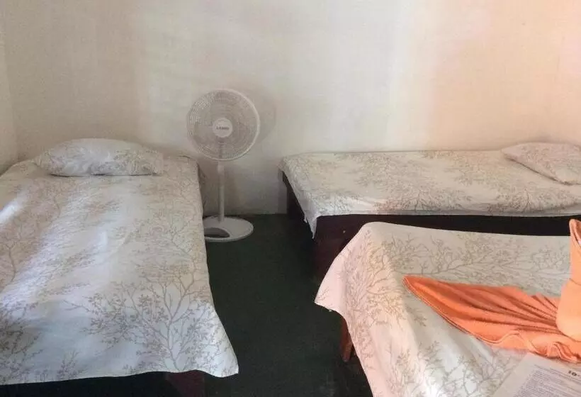 ホテル Cabinas Balcon Del Mar Tortuguero