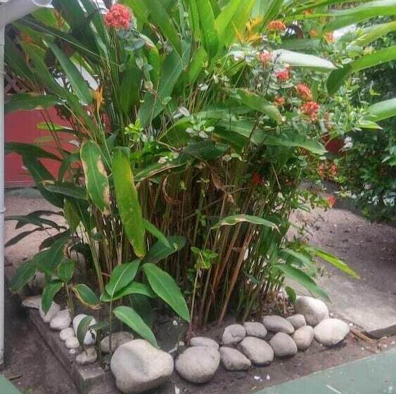 ホテル Cabinas Balcon Del Mar Tortuguero