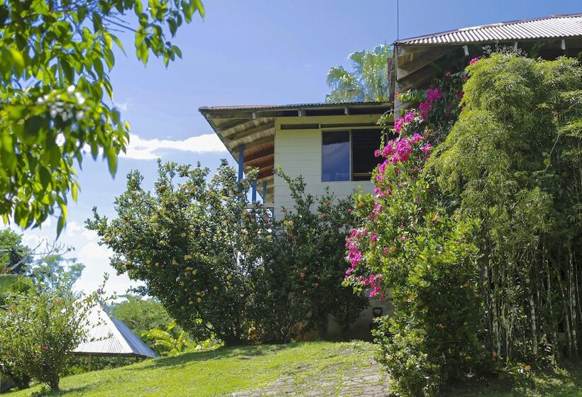 ホテル Casa Drake Lodge