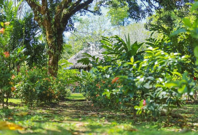 ホテル Casa Drake Lodge